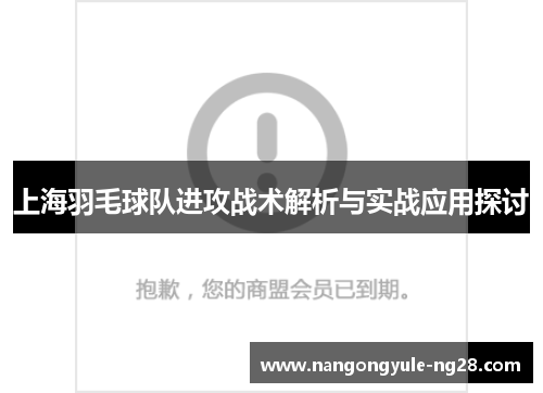 上海羽毛球队进攻战术解析与实战应用探讨