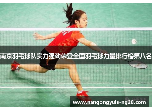 南京羽毛球队实力强劲荣登全国羽毛球力量排行榜第八名